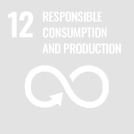 UN Goal 12 - Responsible consumption and production